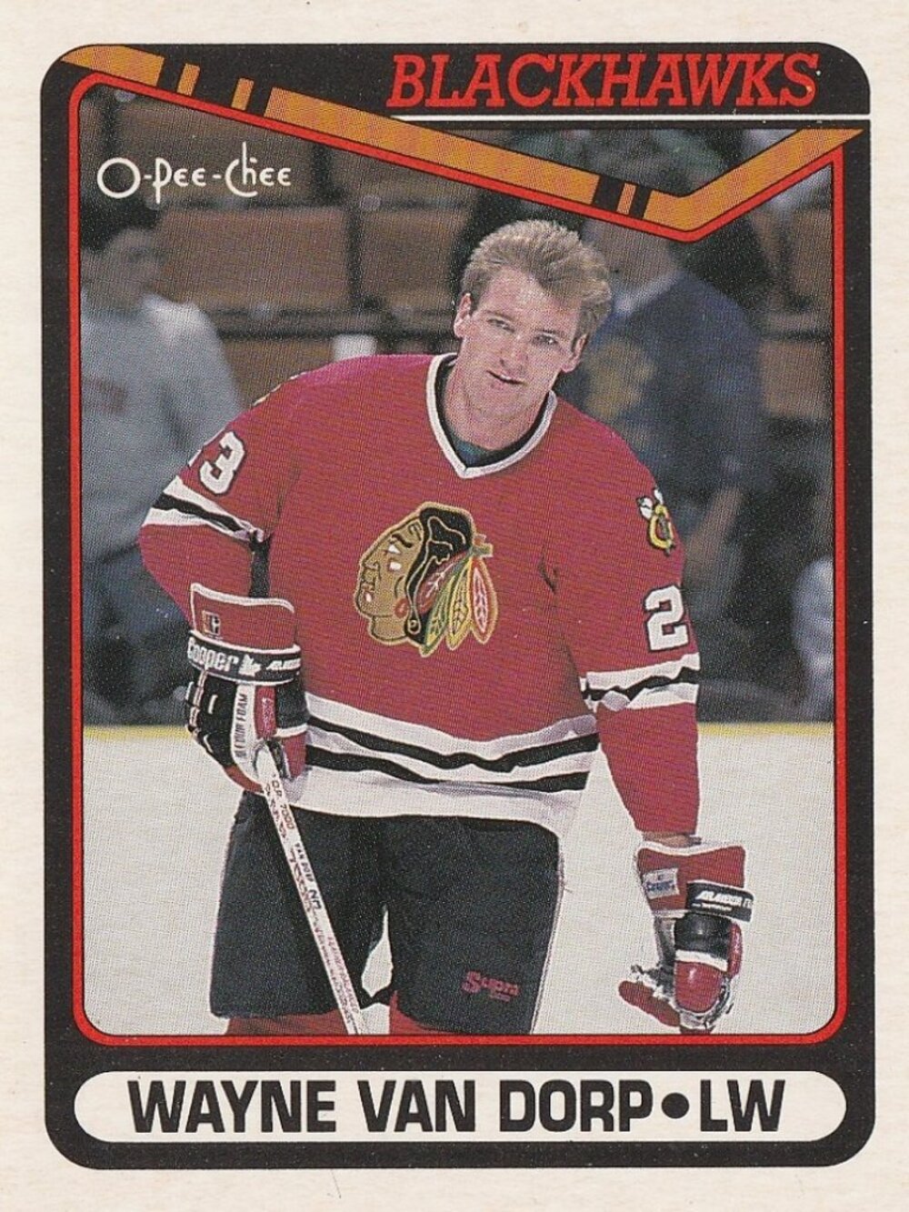 Wayne Van Dorp Hockey Card